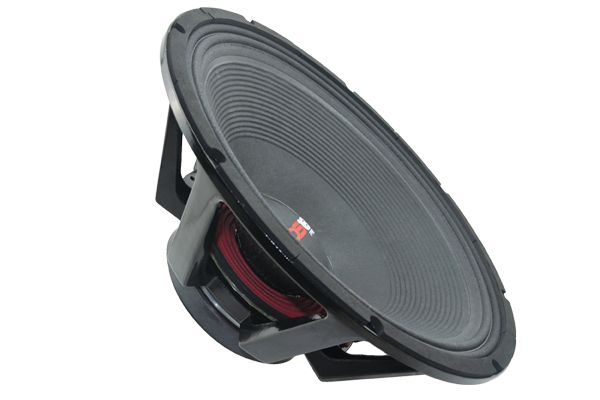 ds18 18 subwoofer