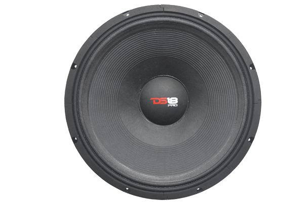 ds18 18 subwoofer